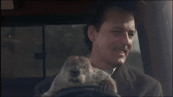 Groundhogs Day GIFs - Get the best GIF on GIPHY