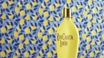 Drink Cheers GIF by RumChata