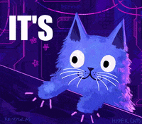 hyper cat animated gif