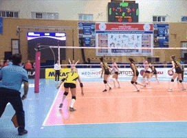 Volleyball Celebrating GIF by Aydın Büyükşehir Belediyespor