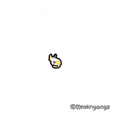 Angry Cat GIF
