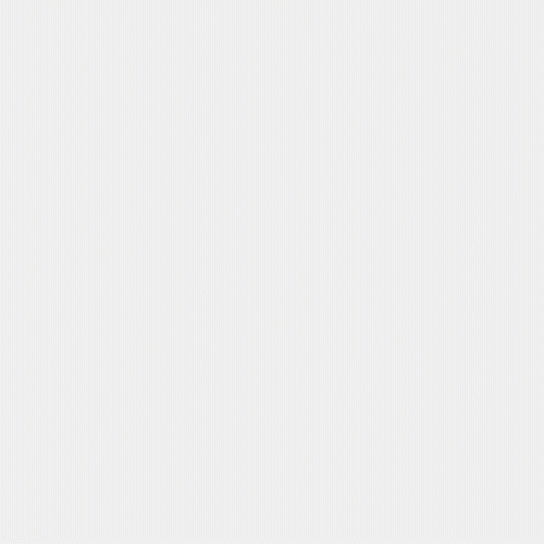 Dogfight Digital GIF