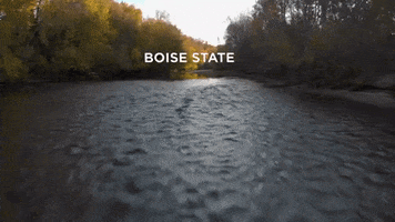 Good Morning Autumn GIF by Boise State University