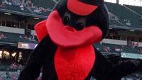 Sport Win GIF by Baltimore Orioles - Find & Share on GIPHY