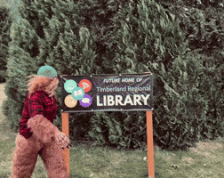 Happy Big Foot GIF by Timberland Regional Library