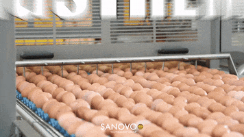 sanovotechnologygroup high egg eggs extreme GIF