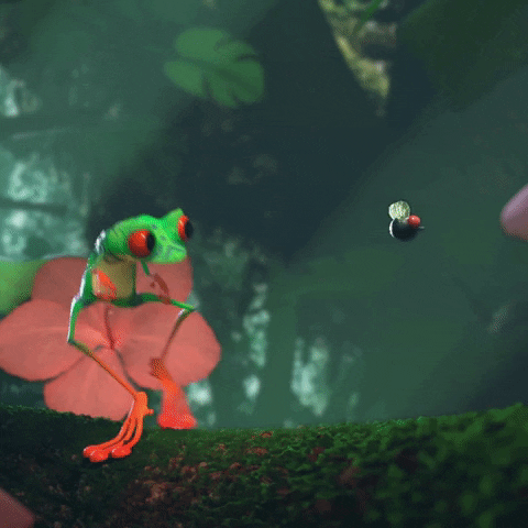 jeremyschaefer animation fly death frog GIF