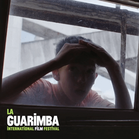 Let Me In Wow GIF by La Guarimba Film Festival