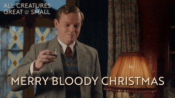 Merry Christmas GIF by All Creatures Great And Small