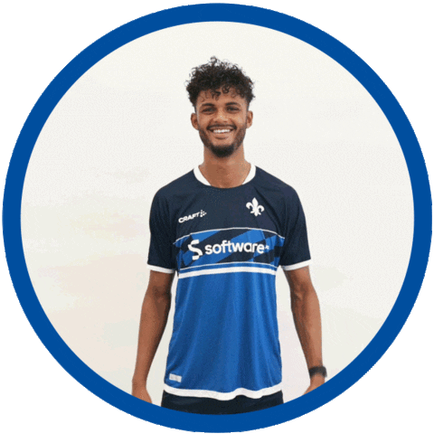 2 Bundesliga Football Sticker by SV Darmstadt 1898 e.V.