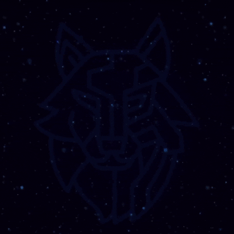 New Star Space GIF by ShibaNova