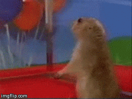 giphy.gif?cid=ecf05e47v0cof8au96u32t7sli
