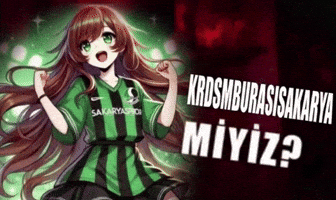 Skr Sakarya GIF