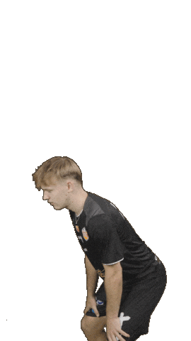 Deutschland Sticker by Volleyball Bundesliga