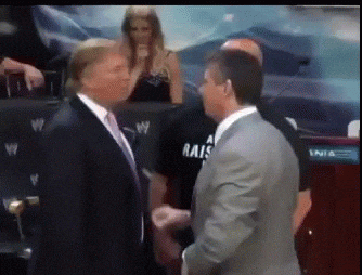 Bromea Gifs Get The Best Gif On Giphy