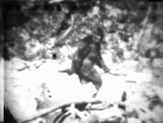 bigfoot