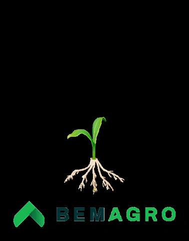 BemAgro GIF