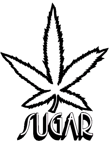 Sugar Hemp Sticker by chiemsee