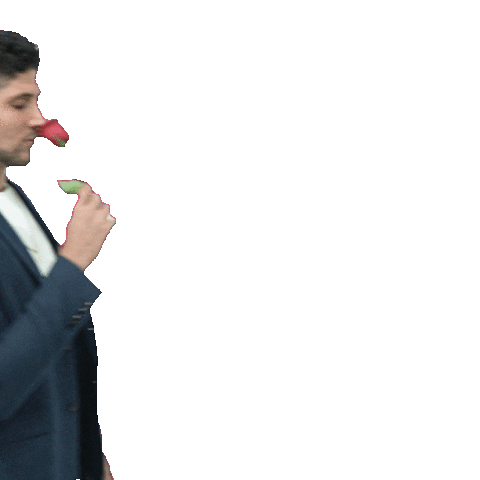 Yusef Sticker by Expressdental