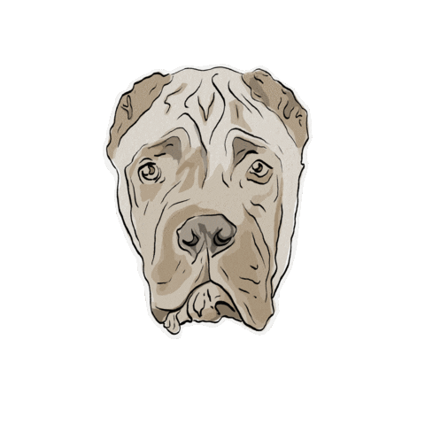 Animated Sticker