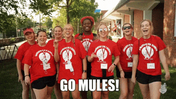 Cheer Mules GIF by University of Central Missouri