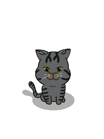 Cat Sticker
