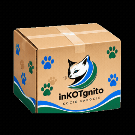 inKOTgnito GIF