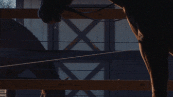 Standing Music Video GIF by Grace Ives