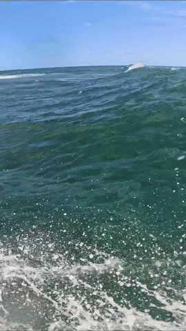 Wave Surf GIF by RSPro