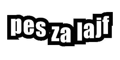 Snv Sticker by pasjasola_srecanavrvici