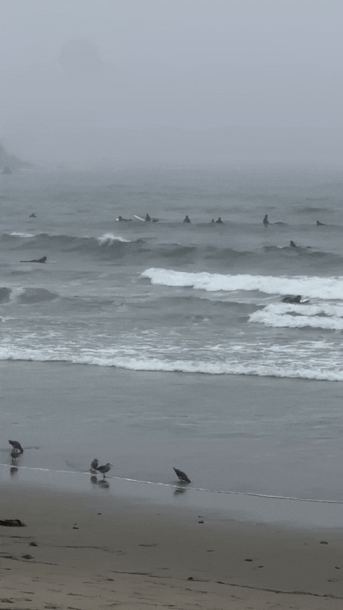 Beach GIF