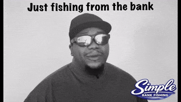 Seattle Washington GIF