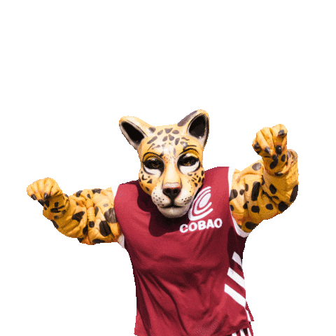 COBAO Sticker