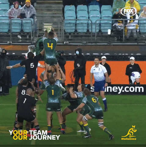 GIF by Wallabies Official
