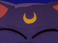 Sailor Moon Cat Gifs Get The Best Gif On Giphy
