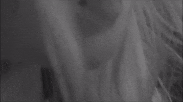 200.gif?cid=fc005b084d17b846eac7bf57ca91f3d197501c2f7aa12abc&rid=200.gif&ct=g