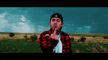Fu Middle Finger GIF by LiL Renzo