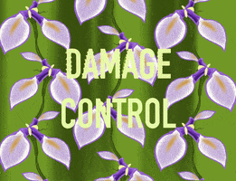 Animated Text Damage Control GIF