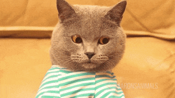 200_s.gif