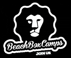 Beachboxcamps Summer Beach Camps Lionking Fun Smile Joinus GIF by beachboxcamps.com