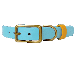 Dog Collar Sticker by Paws Of Kow