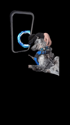 Gritch GIF
