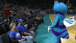 always watching charlotte hornets GIF by NBA