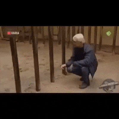cage