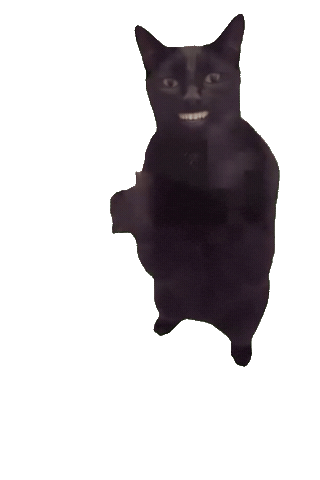 Cat Clap Sticker
