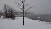 Heavy Snow Blows Through Greater Detroit Area