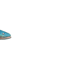 Maryland Easton Sticker by Flying Cloud Books