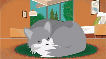 Snow Day Sleeping GIF by Salesforce