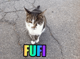 Fufitheraphy GIF