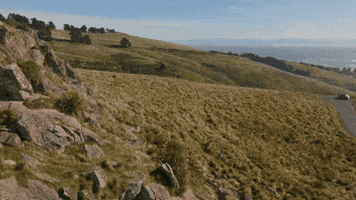 christchurch-nz GIF
